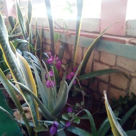 Residence A Paz Σαλ Ρέι Εξωτερικό φωτογραφία